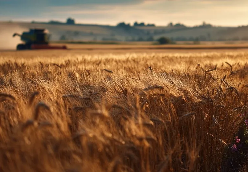 Agricultura e Graos